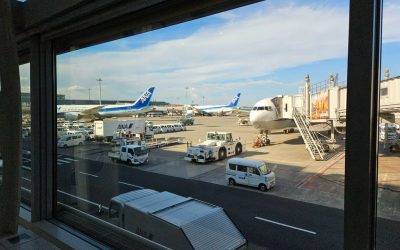 全日空9-10月出票的燃油附加费全线下调,日本飞欧美每程减1万日元