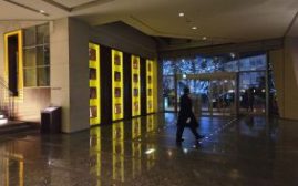 Cat 8,Grand Hyatt Tokyo 东京君悦你配?! – 酒店体验