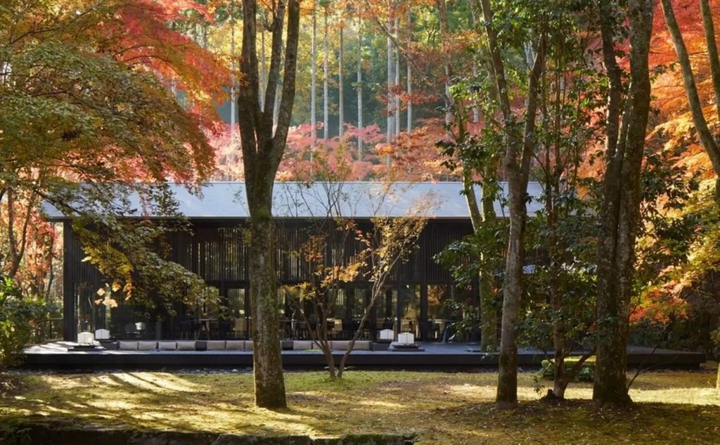 京都安缦 Living Pavilion 与秋天的红叶