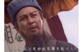 我从未见过有如此厚颜无耻之人