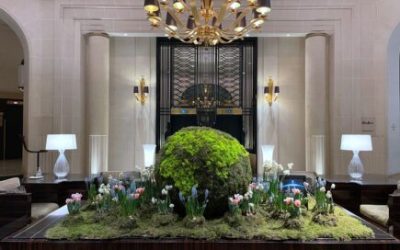 酒店体验 - 巴黎的顶级地点和入住体验,Prince de Galles 酒店